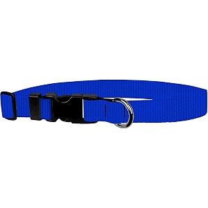 adjustable collar 3434 m royal blue