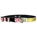 Adjustable Collar 3/4" M, Girly Picnic