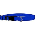 Adjustable Collar 3/4" M, Royal Blue