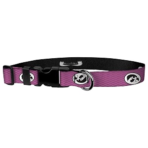 adjustable collar 3434 s university of iowa - pink carbon fiber