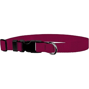 adjustable collar 3434 s raspberry