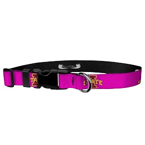 adjustable collar 3434 s iowa state - logo on pink