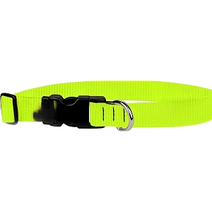 adjustable collar 3434 s hot yellow