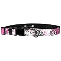 Adjustable Collar 3/4" S, University of Oregon - Digi Pink Chromeo
