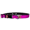Adjustable Collar 3/4" S, Iowa State - Logo on Pink