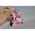 Adjustable Small Pet Hedgehog Harness for Training Playing Traction Rope (Pink)
