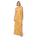 Adrianna Papell Women's One Shoulder Chiffon Gown