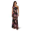Adrianna Papell Women's One Shoulder Chiffon Gown
