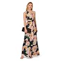 Adrianna Papell Women's One Shoulder Chiffon Gown