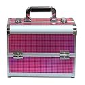Adson Professional Beauty Makeup Cosmetic Vanity Case/Box (Pink)