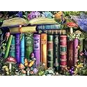 Adult Jigsaw Puzzle 1000 Piece Books