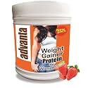 Advanta Women Weight & Mass Gainer Protein Powder – 500 g Strawberry