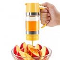 Aelga 9 OZ No-Drip Honey Dispenser, Glass Honey Jar with Handle