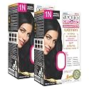 Aequo Organic Cream Hair Colour With QH+ Bioactive | Natural, 100% Grey Coverage, Long-Lasting, PPD &amp; Ammonia Free Permanent Hair Conditioning Color For Women | 1N Natural Black 170ml, Pack Of 2