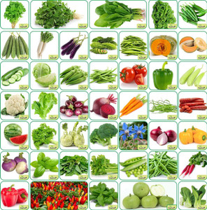 aero seeds 45 varieties 3500 seedsorganichybrid fruits  vegetables seeds seed