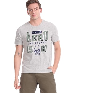 AEROPOSTALE Mens Printed Regular Fit T-Shirt
