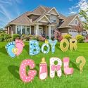 AerWo 11 Pcs Gender Reveal Decorations Baby Shower Yard Signs with Stakes,Baby Gender Reveal Ideas Yard Letters Lawn Signs Boy or Girl Gender Reveal Party Supplies