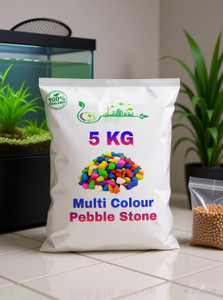AFAST Colourful Glossy Pebbles Stones Decorative