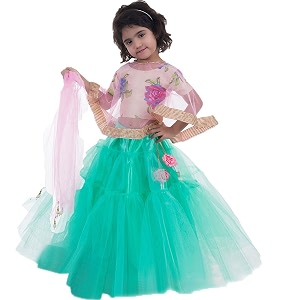 aglare girl39s net readymade lehenga choli