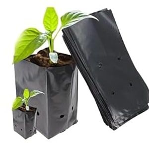 agrivision 5x7 inch black nursery bags  uv coated grow bags for seedlings amp plants pack of 50