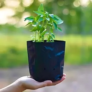 agrivision 5x7 inch black nursery bags  uv coated grow bags for seedlings amp plants pack of 100