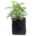 AgriVision 5x7 Inch Black Nursery Bags | UV Coated Grow Bags for Seedlings &amp; Plants (Pack of 300)