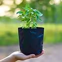 AgriVision 5x7 Inch Black Nursery Bags | UV Coated Grow Bags for Seedlings &amp; Plants (Pack of 100)