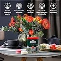 Ahmad Tea Caddy Gift Tin, English Scene, English Breakfast, 100 Gram