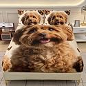 AILONEN Brown Puppy Bedding Set Twin XL Size,Cute Animal Themed Fitted Sheet with 2 Pillowcases for Boys Girls,3-Piece Fluffy Teddy Dog Bedsheet Set for Bedroom Decor
