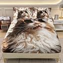 AILONEN Cartoon Cat Bedding Set Twin XL Size,Funny Sunglasses Kitten Fitted Sheet with 2 Pillowcases,3-Piece Cute Cookies Hearts Decor Bedsheet Set for Kids Teens