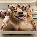 AILONEN Cute Puppy Fitted Sheet Twin XL Size with 2 Pillowcases,Kawaii Golden Retriever Bedding Set 3Pcs for Dog Lovers,Sunflower Hearts Pattern Bedsheet Set