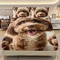 AILONEN Cute Puppy Print Fitted Sheet Set Twin XL Size,Brown Fluffy Dog Bedding Set for Kids Boys Girls,3-Piece Kawaii Pet Animal Theme Bedsheet with 2 Pillowcases