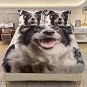 AILONEN Happy Dog Print Fitted Sheet Set Twin Size,Cute Border Collie Bedding Set for Dog Lovers,3-Piece Heart Pattern Bed Sheet with 2 Pillowcases