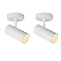Aisilan 2 Pack 9W LED Modern Directional Dimmable Spot Light Indoor, Adjustable Angle Wired Ceiling Spotlight Lamp for Living Room, Painting, Artwork Accent Lighting - Warm Light 3000K, CRI 97