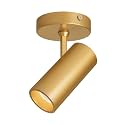 Aisilan 9W LED Dimmable Ceiling Spotlight, Adjustable Directional Surface Flush Mount Lighting, Wall Spot Lights Indoor Accent Fixture for Art Picture Gallery Paintings, CRI 97, 3000K, Gold