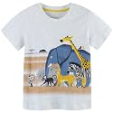AIWUHE Toddler T Shirts Cotton Summer Tshirts