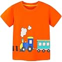 AIWUHE Toddler T Shirts Cotton Summer Tshirts