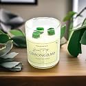 Akaar Decor Range of Colorful Heart-Pop Scented Candles | 100% Soy Wax | 150 Grams | Handcrafted |Smoke-Free | Vanilla | Rose | Lavender | Lemongrass | Jar Candle with Lid (Lemongrass_Green)