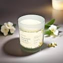 Akaar Decor Range of Fruity &amp; Flowery Scented Candles | 100% Soy Wax | 160 Grams | Handcrafted | Luscious Berries | Fresh Lavender | Midnight Jasmine | Ylang Ylang | Jar Candle (Midnight Jasmine)