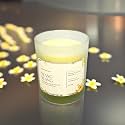 Akaar Decor Range of Fruity & Flowery Scented Candles | 100% Soy Wax | 160 Grams | Handcrafted | Luscious Berries | Fresh Lavender | Midnight Jasmine | Ylang Ylang | Jar Candle (Ylang Ylang)