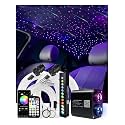 AKEPO Twinkle Starlight Headliner Kit-1096pcs*13.1ft/4m, 20W Dual Color