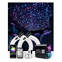AKEPO Twinkle Starlight Headliner Kit-1100pcs*13.1ft/4m, 20W Dual Color