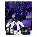 AKEPO Twinkle Starlight Headliner Kit-1000pcs*13.1ft/4m, 20W Dual Color