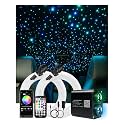 AKEPO Twinkle Starlight Headliner Kit-800pcs*13.1ft/4m, 20W Dual Color