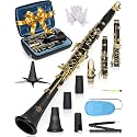 AKLOT B Flat Concert Clarinet: Precision Tone Hole Design for Stable Intonation, Durable Gold-Plated Keys, Including Leather Hard Case, Barrel, Stand, Full Cleaning Kit (Aria-AG)