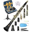 AKLOT B Flat Concert Clarinet: Precision Tone Hole Design for Stable Intonation, Durable Ancient Bronze-Style Keys, Including Leather Hard Case, Barrel, Stand, Full Cleaning Kit (Aria-ABV)