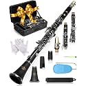 AKLOT B Flat Concert Clarinet: Precision Tone Hole Design for Stable Intonation, Durable Nickel-Plated Keys, Including Stylish Case, Barrel, Full Clarinet Cleaning Kit (Ember-MN)