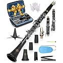 AKLOT B Flat Concert Clarinet: Precision Tone Hole Design for Stable Intonation, Durable Nickel-plated Keys, Including Leather Hard Case, Barrel, Stand, Full Cleaning Kit (Aria-PS)