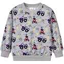 Akyzic Toddler Boys Sweatshirts Cotton Crewneck Truck Shirt Dinosaur Long Sleeve Pullover Tops Tees 2-8T