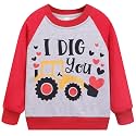 Akyzic Toddler Boys Sweatshirts Cotton Crewneck Truck Shirt Dinosaur Long Sleeve Pullover Tops Tees 2-8T